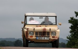 CITROËN  MEHARI  -  BRUCHARD  Michel