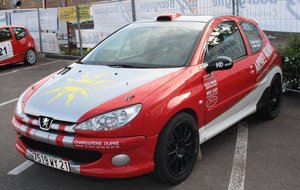 PEUGEOT  206    -    HENRY  Michel