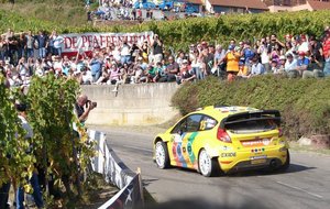 WRC 2011 006.jpg