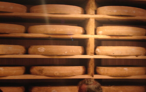 Visite de la fromagerie