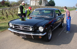 FORD  MUSTANG   MAILLET  Daniel
